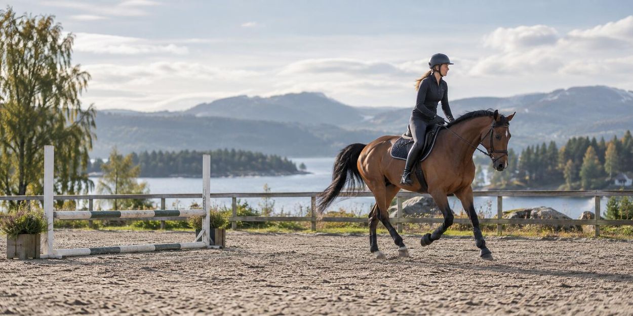 Erlaubte Gebisse im Springen in Österreich 2026