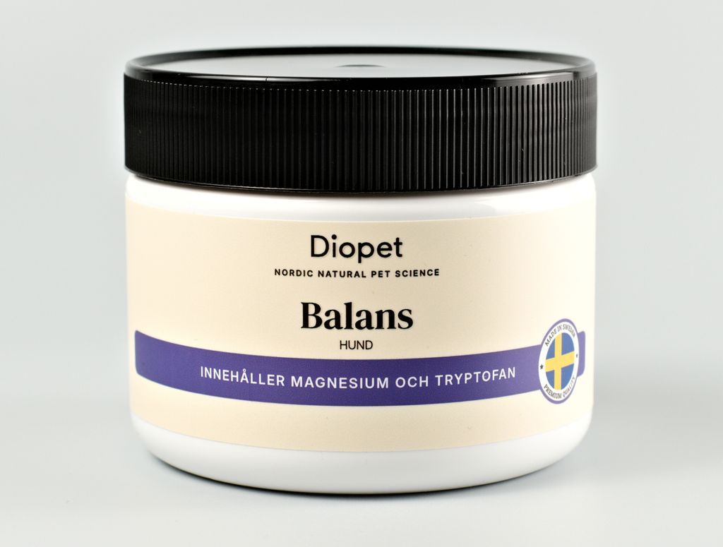 Balans Hund