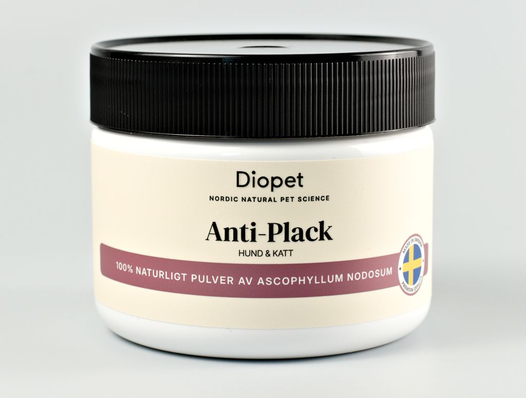 Anti-Plack Katt